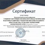 Сертификат Вязниковцева Дарья